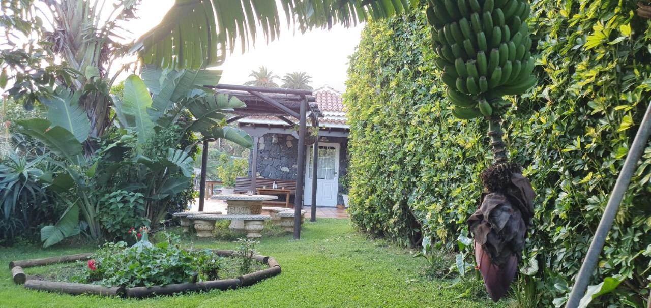La Sabana Guest House Buenavista de Abajo ภายนอก รูปภาพ