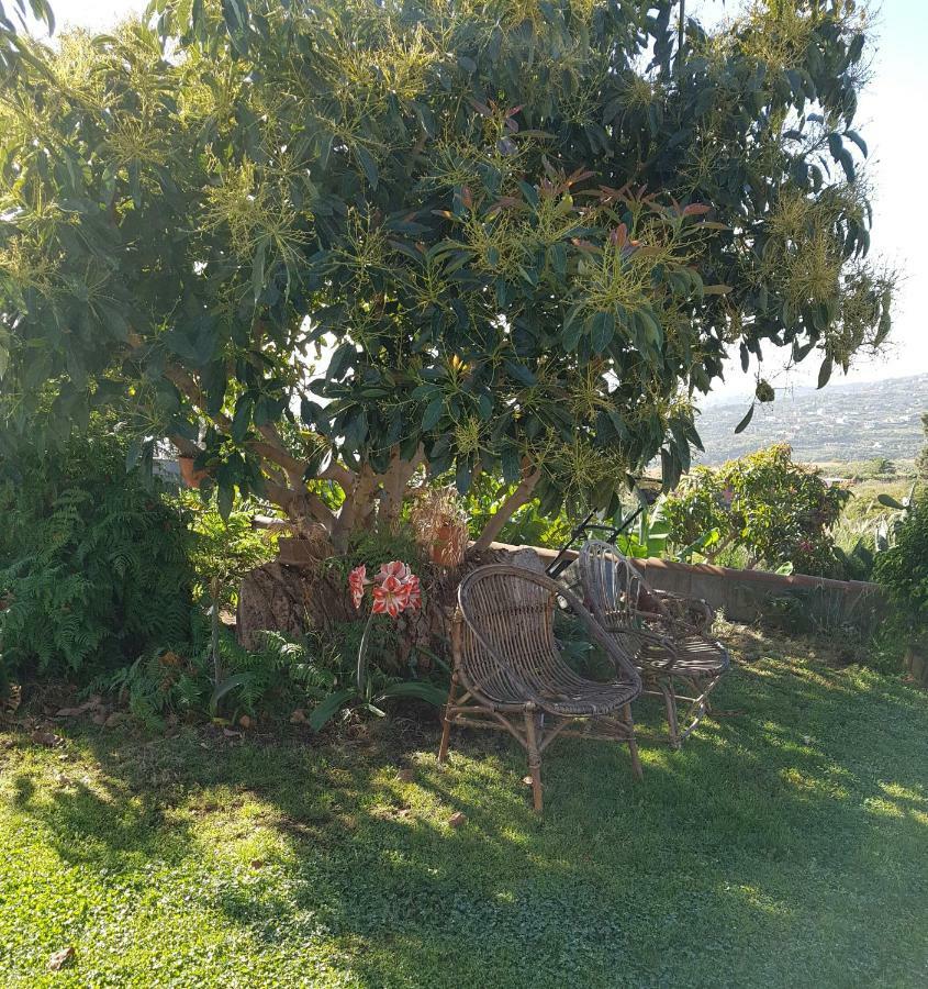 La Sabana Guest House Buenavista de Abajo ภายนอก รูปภาพ
