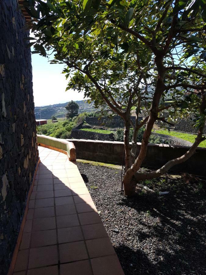 La Sabana Guest House Buenavista de Abajo ภายนอก รูปภาพ